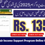 Benazir Income Support Program Online Check