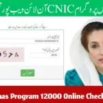Ehsaas Program 12000 Online Check 8171