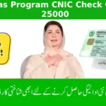 8171 Ehsaas Program 25000 BISP – Full Guide 2025