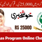 Ehsaas Program Online Check – Complete Guide 2025