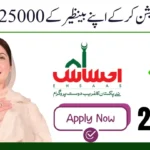 8171 Ehsaas Program 25000 BISP CNIC Check Online & Registration