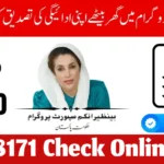 8171 Check Online – Easy Guide for 2025