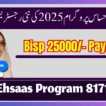 Ehsaas Program 8171 – CNIC Check & Online Registration Guide (2025 Update)
