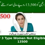 BISP 3 Type Women Not Eligible For 13500