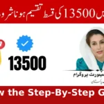 BISP 8171 July 2025 Reverification Begins for Suspended Beneficiaries