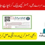 How Behavioral Nudges Improve BISP Survey Participation