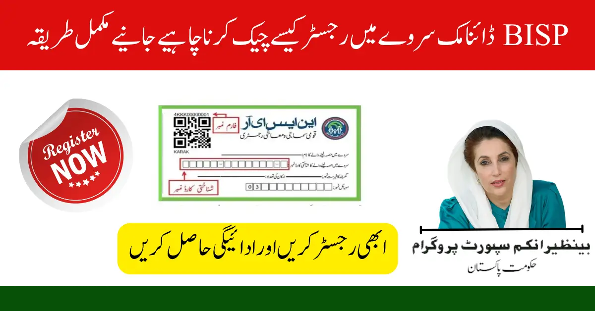 How Behavioral Nudges Improve BISP Survey Participation