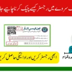 BISP Dynamic Survey 2025