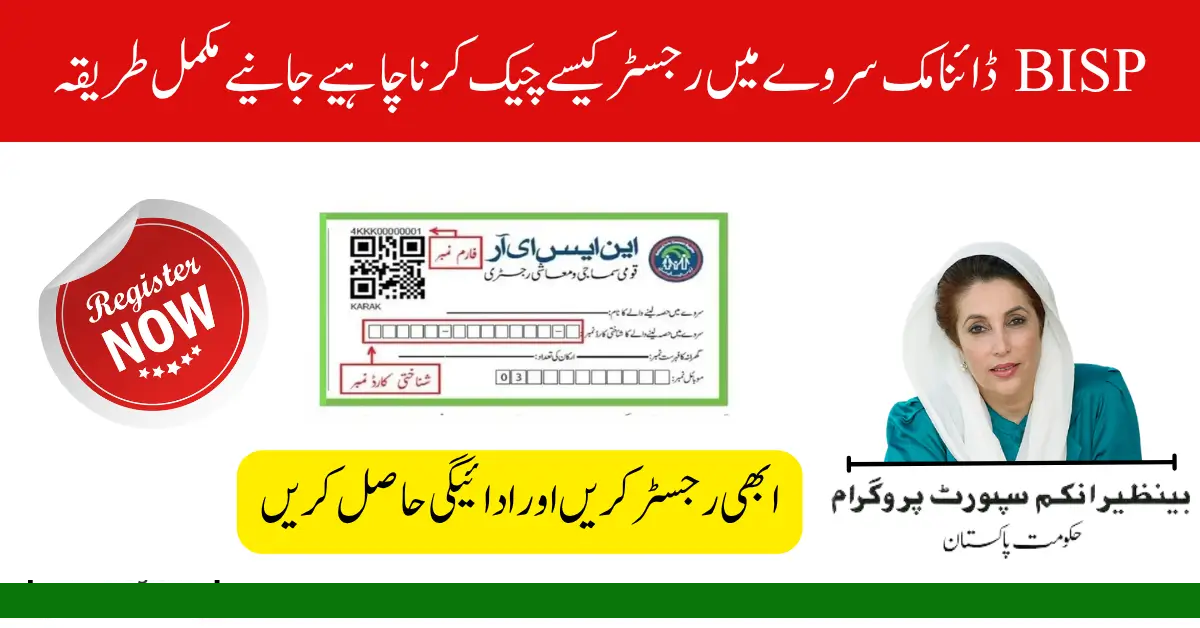 BISP Dynamic Survey 2025