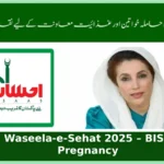 Waseela-e-Sehat 2025 – BISP Pregnancy & Nutrition Cash Support Guide
