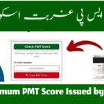What is the Maximum PMT Score Issued by BISP for Himmat Card Eligibility?