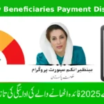 BISP New Beneficiaries Payment Distribution