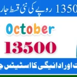 BISP Kafalat Program 2025 | How to Collect Rs. 13,500 via 8171 Portal