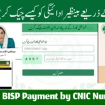 How to Check BISP Payment by CNIC Number Detail Tracking System in 2025