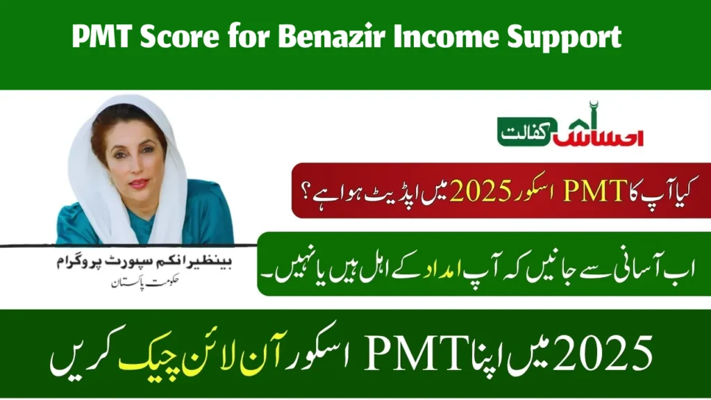 What is the PMT Score for Benazir Income Support?