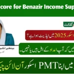 What is the PMT Score for Benazir Income Support?