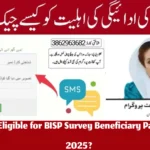Who is Eligible for BISP Survey Beneficiary Payment in 2025?