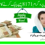 بینظیر انکم سپورٹ پروگرام 8171 کی اہلیت آن لائن CNIC سے کیسے چیک کریں – 2025 اپ ڈیٹ