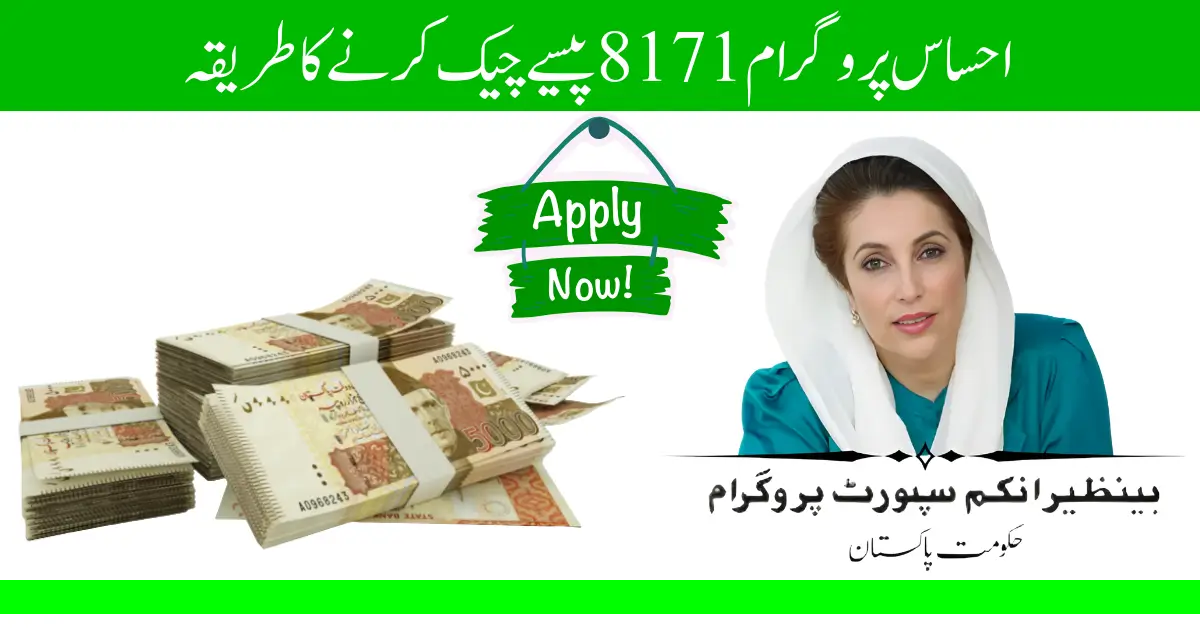 بینظیر انکم سپورٹ پروگرام 8171 کی اہلیت آن لائن CNIC سے کیسے چیک کریں – 2025 اپ ڈیٹ
