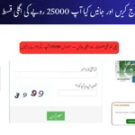 8171 Check Online CNIC