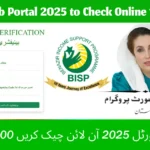 How to Use the 8171 Web Portal 2025 to Check Online 13500 Payments Easily
