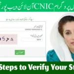 8171 Ehsaas Program Check CNIC Online Web Portal Guide
