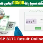 How to Check BISP 8171 Result Online by CNIC Easily and Quickly