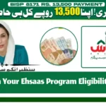 How to Easily Perform Your Ehsaas Program Eligibility Check in Pakistan
