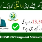 How to Check BISP 8171 Payment Status Online Easily and Quickly