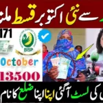 BISP 8171 Result Check Online by CNIC