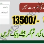 BISP 8171 Result Through CNIC Sitting At Home