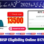 How to Check BISP Eligibility Online 8171 Easily in Pakistan