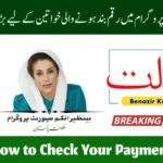 8171 New Update Benazir Kafaalat October Installment Released