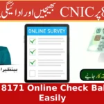 How to Do BISP 8171 Online Check Balance Easily in 2025