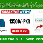 How to Use the 8171 Web Portal 2025 to Check Online 13500 Payment Status Easily