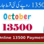 How to Use 8171 Web Portal 2025 to Check Online 13500 Payment Status Easily