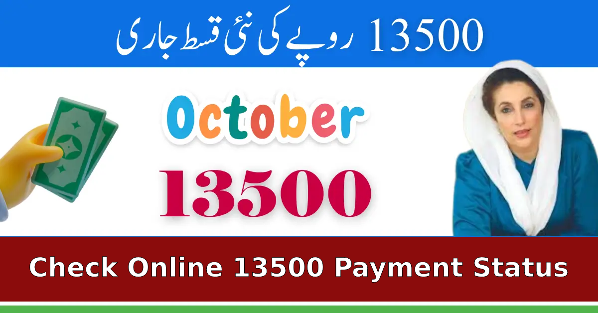 How to Use 8171 Web Portal 2025 to Check Online 13500 Payment Status Easily