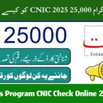 Ehsaas Program CNIC Check Online 25000