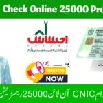 8171 Check Online 25000 Process and Verification Guide