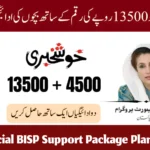 Special BISP Support Package Planned for Women and Children in 2025 to Enhance Social Welfare