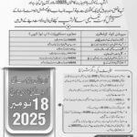 PEEF Scholarship 2025