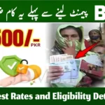 What Is the Payment of Benazir Income Support Programme 2025?