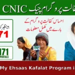 How Do I Check My Ehsaas Kafalat Program in 2025?