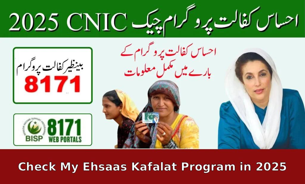 How Do I Check My Ehsaas Kafalat Program in 2025?