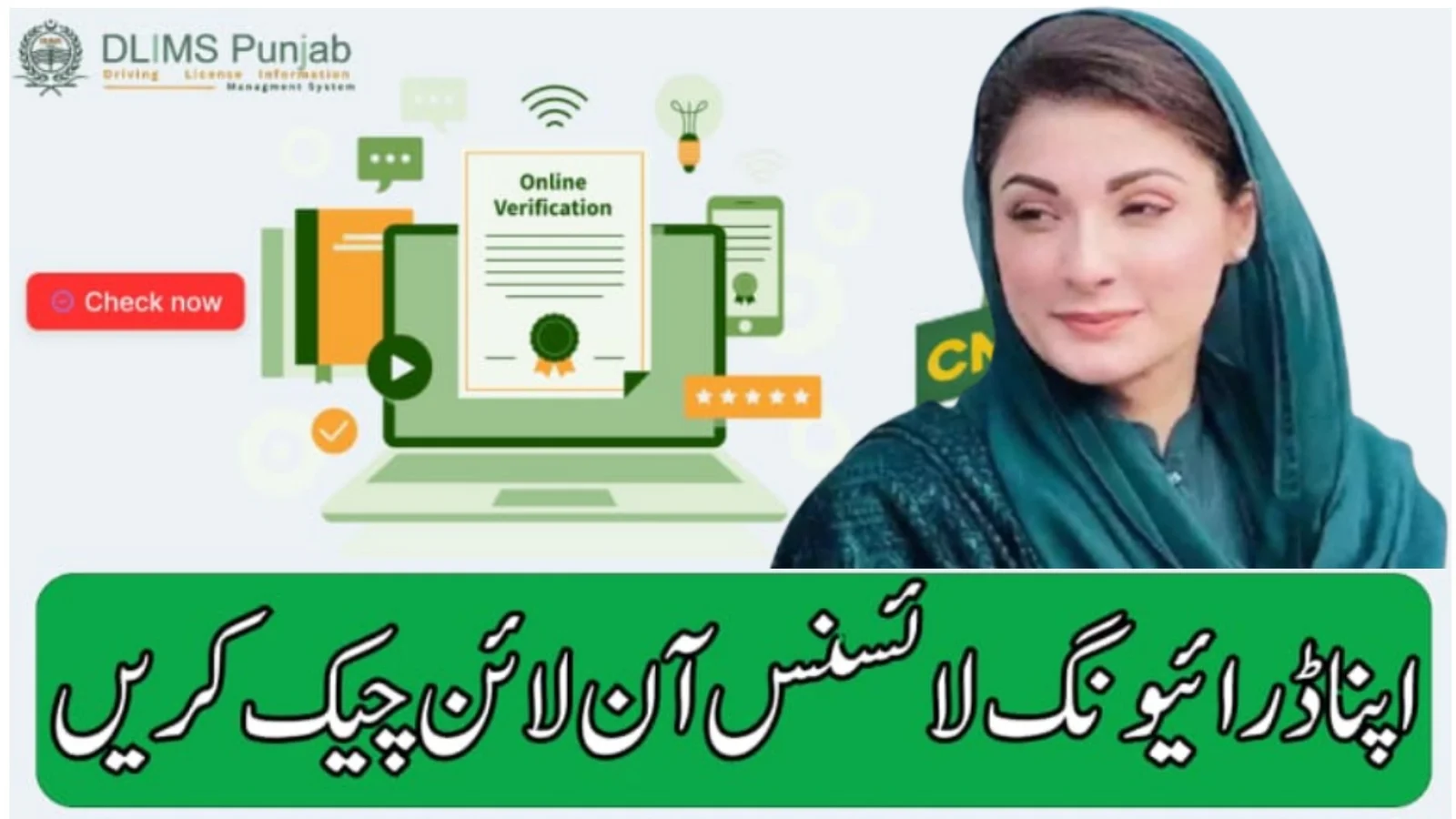 ✔️ How to Check Online Driving License By CNIC in Pakistan