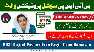BISP Social Protection Wallet 2026